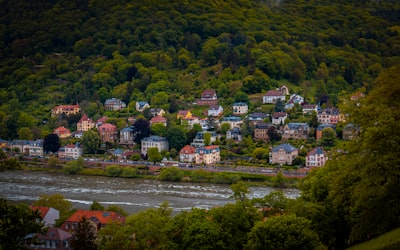 注意事项：规避风险，确保成功