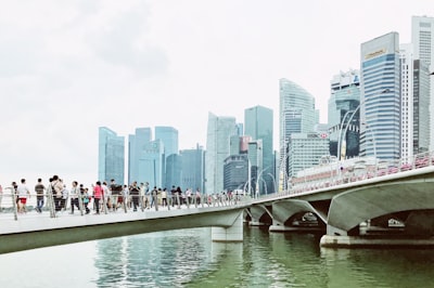 新加坡公司的年度合规维护