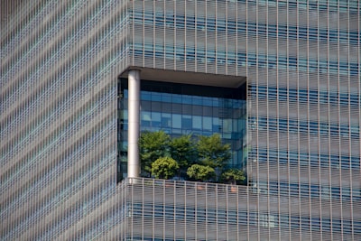 小贴士和建议