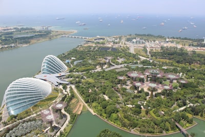 新加坡的公司治理要求