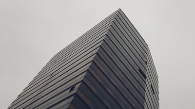 确定公司名称和注册地址