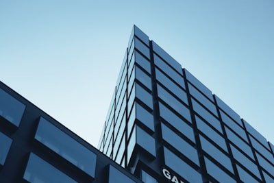 1. 确定公司类型