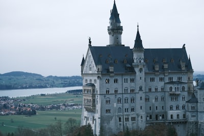 标签印刷与正式运营