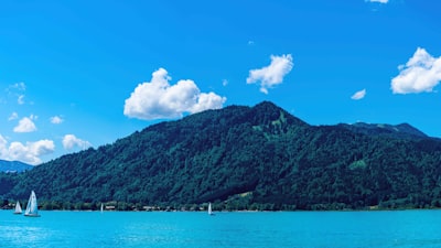 编写章程和设定公司目标