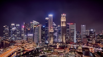 新加坡公司类型的选择