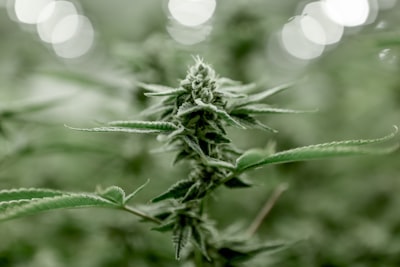 境外投资备案的法律依据