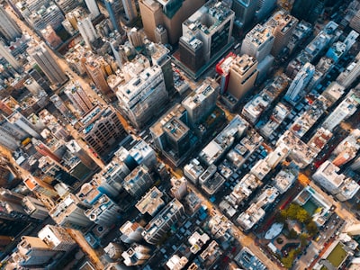 高才通计划与香港经济发展