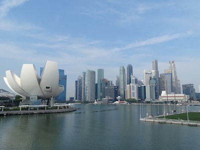 新加坡公司注册流程：一步一步，稳扎稳打